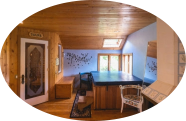 nordic themed room with sauna and hot tub